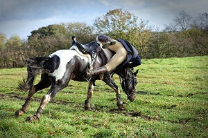 horse riding accident